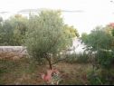 Appartamenti Mil - 80m from the sea A1(4+1), A2(2) Sevid - Riviera Trogir  - il cortile
