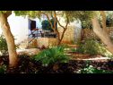 Casa vacanza Rosita - 50 m from sea: H(4) Sevid - Riviera Trogir  - Croazia - il giardino