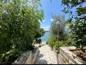 Appartamenti Mihaela - sea view : A1(5+1), A2(4), SA3(2) Trogir - Riviera Trogir  - il giardino (casa e dintorni)