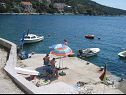 Appartamenti A1(2+2), A2(2+1) Vinisce - Riviera Trogir  - la spiaggia