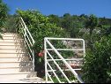 Appartamenti A1(2+2), A2(2+1) Vinisce - Riviera Trogir  - il verde (casa e dintorni)