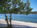 Appartamenti Fran - 30 m from sea : A1-veliki(5), A2-mali(3) Vinisce - Riviera Trogir  - la spiaggia