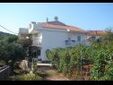 Appartamenti Slaven - 50 m from beach: A1(4+2), A2(2+1), A3(4+1) Vinisce - Riviera Trogir  - la casa
