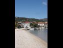 Casa vacanza Dinko - 20 m from sea: H(4+1) Vinisce - Riviera Trogir  - Croazia - la spiaggia