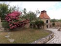 Appartamenti Josi - 150 m from sea: A1(4+1), A2(4+1), A4(4+1) Vinisce - Riviera Trogir  - il giardino