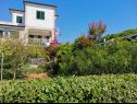 Appartamenti Srđan - 10 m from the beach : A1(4), A2(2+1), A3(4+1) Vinisce - Riviera Trogir  - il giardino