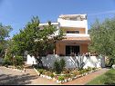 Appartamenti MiMa - 150 m from the beach: A1(2+2), A3(5), A2(2+2) Susica - Isola di Ugljan  - la casa