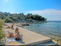 Appartamenti MiMa - 150 m from the beach: A1(2+2), A3(5), A2(2+2) Susica - Isola di Ugljan  - la spiaggia