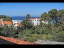 Appartamenti MiMa - 150 m from the beach: A1(2+2), A3(5), A2(2+2) Susica - Isola di Ugljan  - lo sguardo sul mare (casa e dintorni)