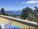 Appartamenti Brane - charming and close to the sea SA1(2) Sutomiscica - Isola di Ugljan  - la casa