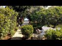 Appartamenti Brane - charming and close to the sea SA1(2) Sutomiscica - Isola di Ugljan  - il giardino (casa e dintorni)