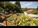 Casa vacanza Paulo1 - peacefull and charming H(2+1) Baia Rogacic (Vis) - Isola di Vis  - Croazia - il giardino (casa e dintorni)