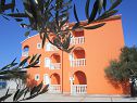 Appartamenti Sor - on the beach: SA1(2+1), A1(4+1), A2(2+2), A3(2+2) Bibinje - Riviera Zadar  - la casa