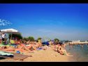 Appartamenti Fuzi - 50 m from sea: A1(2+1), SA4(2) Bibinje - Riviera Zadar  - la spiaggia