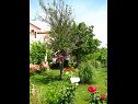 Appartamenti Nika - nice garden: A1(2), A2(4+1), A3(6), A4(2) Nin - Riviera Zadar  - il giardino (casa e dintorni)