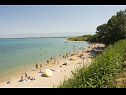 Appartamenti Mirko - 100m from the sea: A2(9) Nin - Riviera Zadar  - la spiaggia