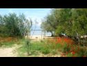 Appartamenti Dragi - with pool: A2(4), A3(4), A4(4), A6(2) Nin - Riviera Zadar  - la spiaggia
