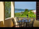 Appartamenti Mari - with view: A1(4) Novigrad - Riviera Zadar  - la casa