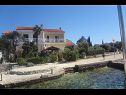Appartamenti Andri - 5 m from the beach : A1(4), A2-donji(2+2) Petrcane - Riviera Zadar  - la casa