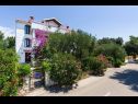Appartamenti Pupa - nice family apartments: A1 Dora(4+1), A2 Mihael(4+1), A3 Tea(2+1) Petrcane - Riviera Zadar  - la casa