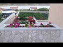 Appartamenti Adriatic - with beautiful garden: A1(2), A2(2), A3(2+2) Rtina - Riviera Zadar  - la piantata dei fiori