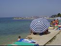 Appartamenti Marietta - sea view: A1(2+2), A2(2+2) Rtina - Riviera Zadar  - la spiaggia