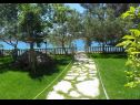 Appartamenti Ivan Z - 10 m from sea: A3(2), A4(2) Seline - Riviera Zadar  - il giardino