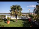 Appartamenti Let - 5 m from sea : A1(4), A4(4) Sukosan - Riviera Zadar  - il giardino