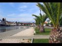 Appartamenti Let - 5 m from sea : A1(4), A4(4) Sukosan - Riviera Zadar  - il dettaglio