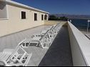 Appartamenti Stjepan- 10 m from beach A1 prizemlje desno(2+2), A2 prizemlje lijevo(2+2), A3 1.kat lijevo(2+2) Vir - Riviera Zadar  - la terrazza comune (casa e dintorni)