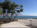 Appartamenti Stjepan- 10 m from beach A1 prizemlje desno(2+2), A2 prizemlje lijevo(2+2), A3 1.kat lijevo(2+2) Vir - Riviera Zadar  - il cortile (casa e dintorni)