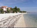 Appartamenti Monika - 10m from sea: A8(4+2), A11(4+2), A16(4+2), A17(4+2), A12(2+2), A13(2+2), A20(2+2), A21(2+2), SA14(2+1), SA15(2+1), SA22(2+1), A23(2+1) Vir - Riviera Zadar  - la spiaggia