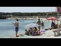 Appartamenti Vinko - big terrace and grill A5(2+1), SA6(2)Crveni, SA7(2)Plavi Vir - Riviera Zadar  - la spiaggia