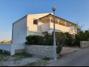 Appartamenti Rising Sun A1(2+2), A2(2+2), A3(2+2) Vir - Riviera Zadar  - la casa