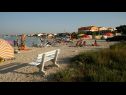 Appartamenti Tihana - 200 m from sea: A1(4+1) Vir - Riviera Zadar  - la spiaggia