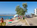 Appartamenti Gavro - 20 m from the sea: A1(4), A2 (2+2) Vir - Riviera Zadar  - la spiaggia