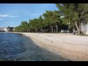 Appartamenti Eddie - great location & comfor: A1(4), A2(4), A3(4), A4(4) Zadar - Riviera Zadar  - la spiaggia
