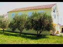 Appartamenti Mir - family apartments with garden terrace A1(4), A2(2) Zaton (Zadar) - Riviera Zadar  - la casa
