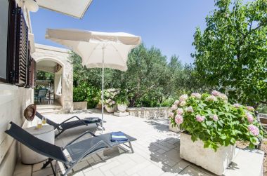 Casa vacanza Zlatna - with beautiful garden: H(6+1) Selca - Isola di Brac  - Croazia