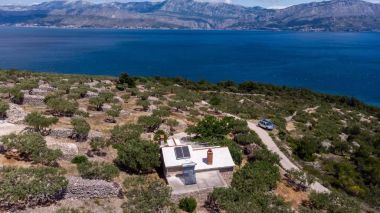 Casa vacanza Branko - large terrace : H(2) Baia Vela Lozna (Postira) - Isola di Brac  - Croazia