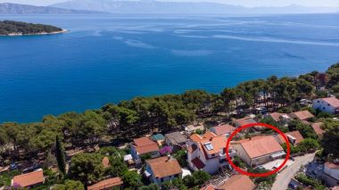 Appartamenti Dari - 120 m from sea: A1(2+2), A2(2+2), SA3(2+1), SA4(2) Jelsa - Isola di Hvar 