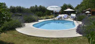 Casa vacanza Gurianum - with pool: H(8) Vodnjan - Istria  - Croazia