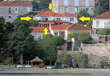 Appartamenti Vedro - 50 m from sea: 1- Red(4), 2 - Purple(2+1), 3 - Blue(2), 4 - Green(2+2) Korcula - Isola di Korcula 