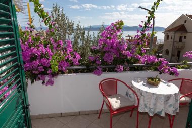 Appartamenti Blue - 100 m from beach: A1(3+1) Igrane - Riviera Makarska 