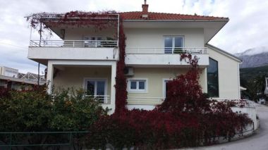 Appartamenti Maja - 100 from the beach: A1- Galebovo krilo (2+2), A2-Uzorita (2+2), SA1(2) Podgora - Riviera Makarska 