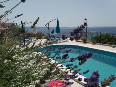Appartamenti Jugana - with pool : A1 donji(4), A2 gornji(4) Sumpetar - Riviera Omis 