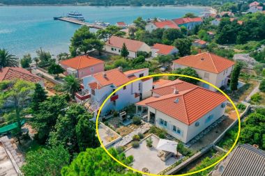 Casa vacanza Ante - 30 m from beach: H(6+2) Ist (Isola di Ist) - Riviera Zadar  - Croazia
