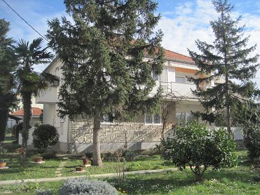 Appartamenti Ivan - with large terrace : A1(5) Zadar - Riviera Zadar 