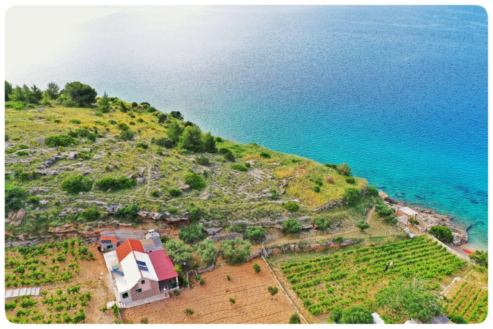 Casa vacanza Smokovlje - sea view and vineyard H(4) Bol - Isola di Brac  - Croazia
