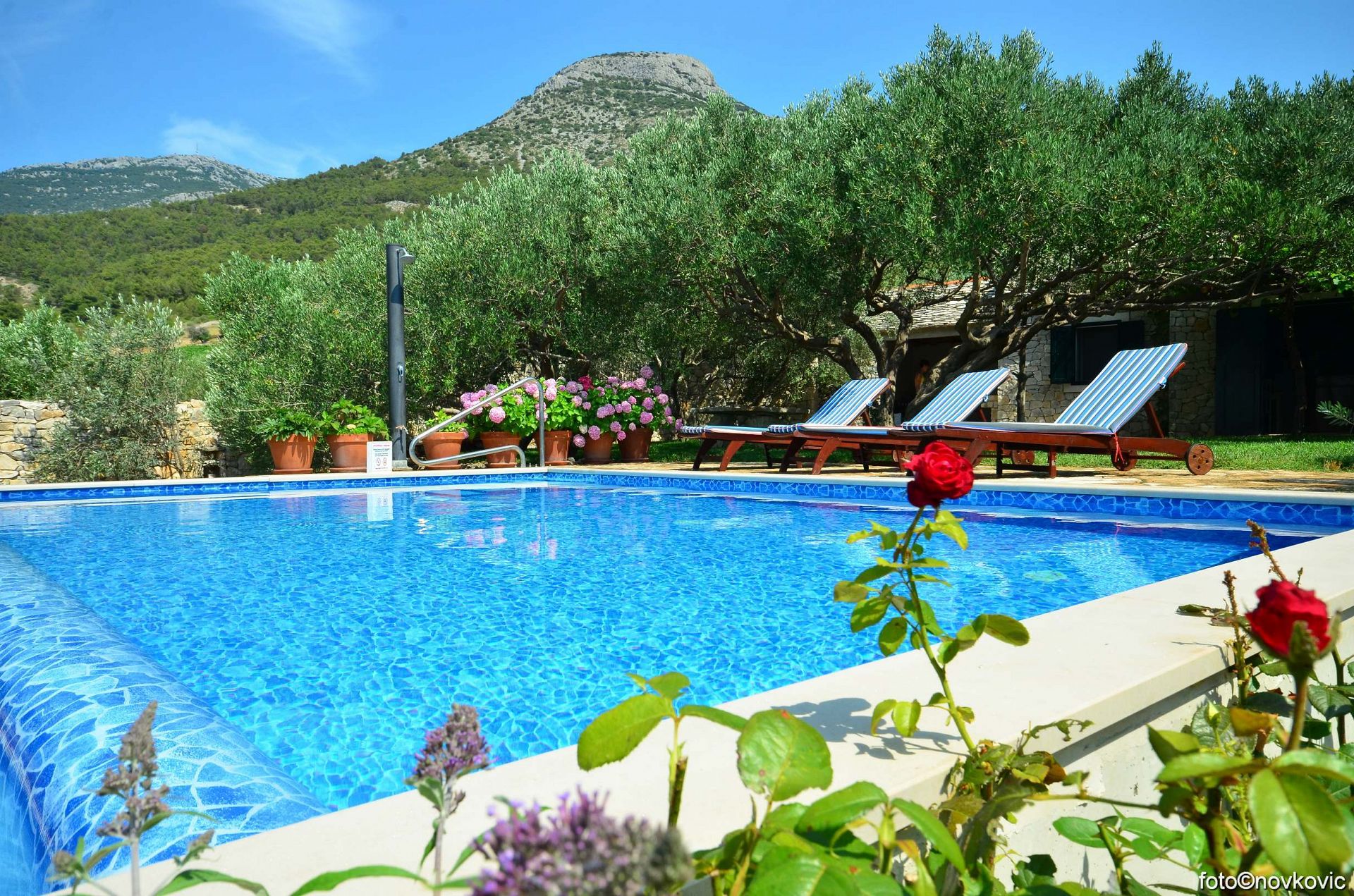 Casa vacanza Vojo - private swimming pool: H(4) Bol - Isola di Brac  - Croazia